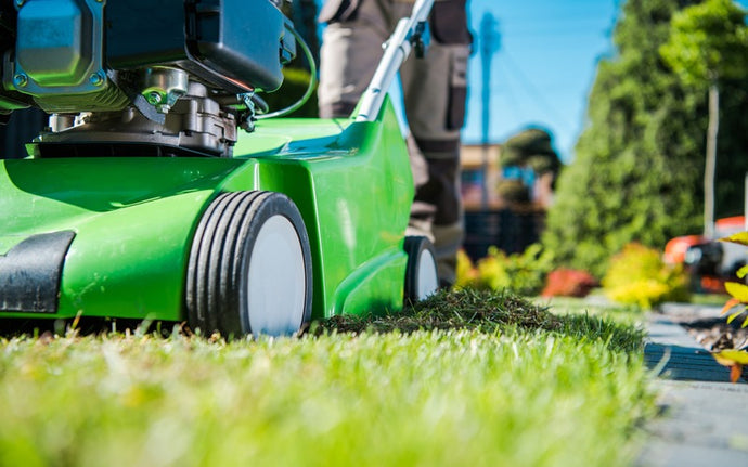 The Best Lawn Care Services: Transforming Your Yard into Paradise