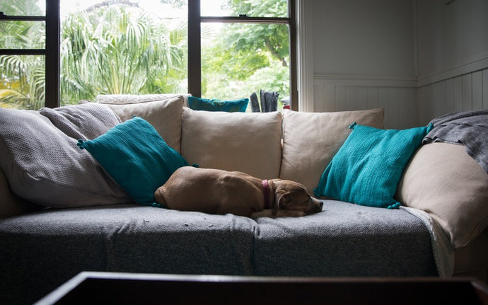 Finding The Perfect Sofa At The Perfect Price